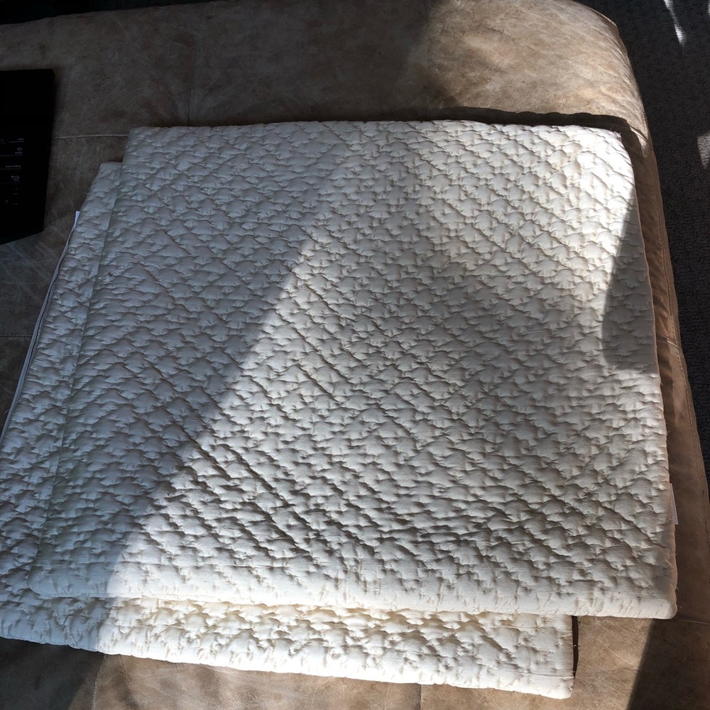 Pottery Barn pillow covers 2x like new